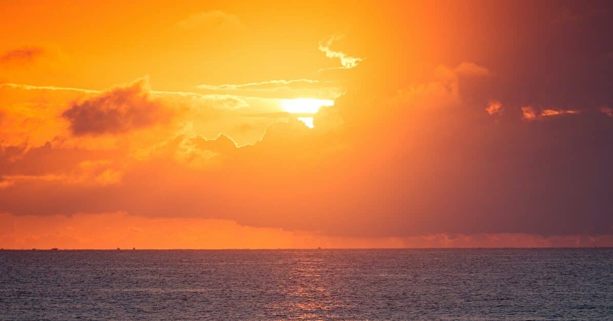 Gemalto by Thales has sunset the QS1000 ID & passport scanner